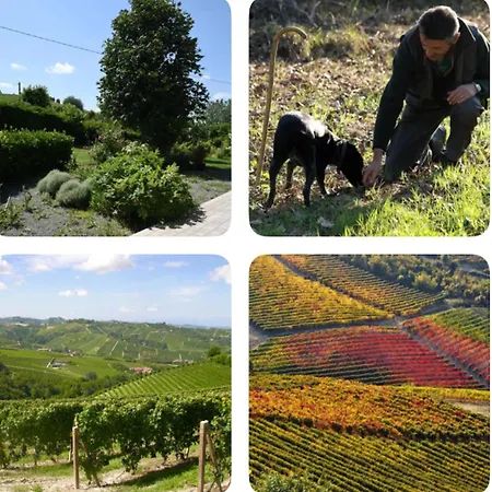 Cascina Albarella Canelli