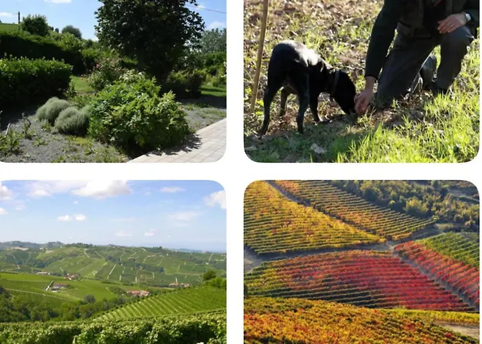 Cascina Albarella Canelli